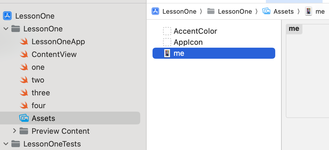 Xcode Assets folder view showing AccentColor and AppIcon assets, with me file selected and highlighted in blue.